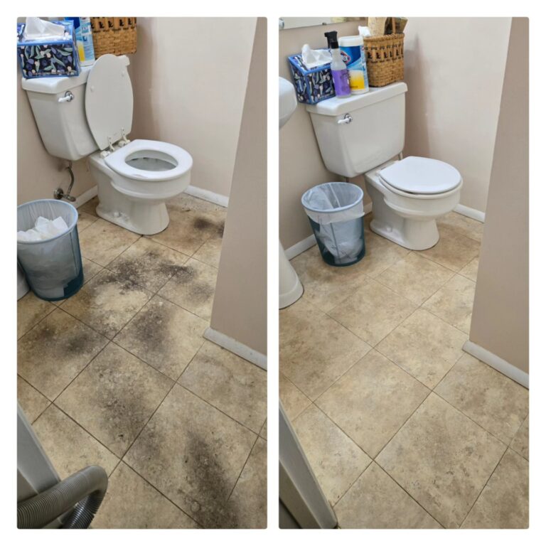 House Cleaning Dirty Bathroom